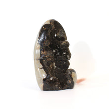 Load image into Gallery viewer, Large black septarian crystal cut base 1.98kg | ASH&amp;STONE Crystals Shop Auckland NZ
