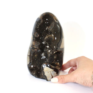 Large black septarian crystal cut base 1.98kg | ASH&STONE Crystals Shop Auckland NZ