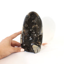 Load image into Gallery viewer, Large black septarian crystal cut base 1.98kg | ASH&amp;STONE Crystals Shop Auckland NZ
