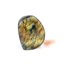 Load image into Gallery viewer, Labradorite polished crystal free form | ASH&amp;STONE Crystals Shop Auckland NZ
