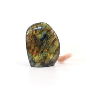 Labradorite polished crystal free form | ASH&STONE Crystals Shop Auckland NZ