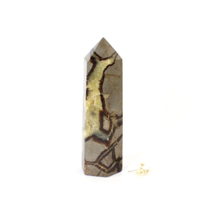 Septarian crystal polished tower | ASH&STONE Crystals Shop Auckland NZ
