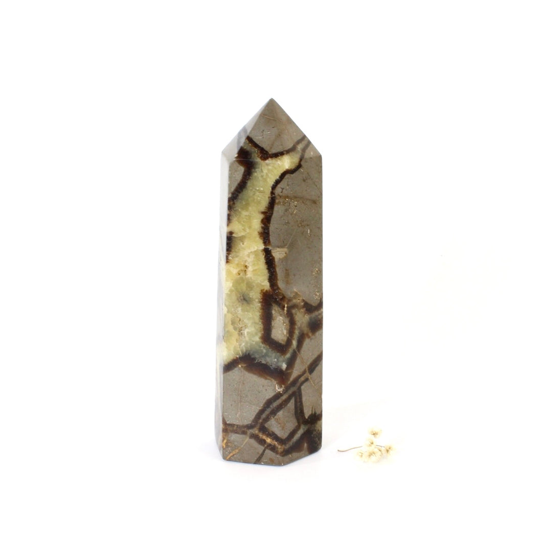 Septarian crystal polished tower | ASH&STONE Crystals Shop Auckland NZ