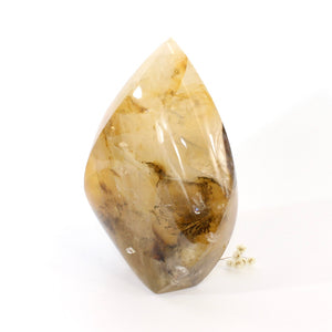 Golden healer crystal flame | ASH&STONE Crystals Shop Auckland NZ