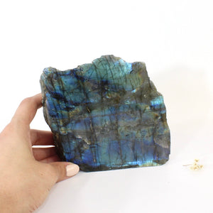 Labradorite crystal free form 1.54kg | ASH&STONE Crystals Shop Auckland NZ
