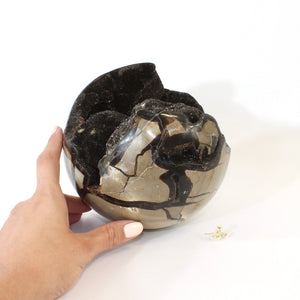 Extra large black septarian crystal sphere 4.76kg | ASH&STONE Crystals Shop Auckland NZ