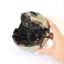 Load image into Gallery viewer, Extra large black septarian crystal sphere 4.76kg | ASH&amp;STONE Crystals Shop Auckland NZ
