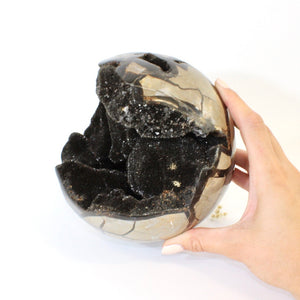 Extra large black septarian crystal sphere 4.76kg | ASH&STONE Crystals Shop Auckland NZ