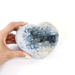 Large celestite crystal heart 1.87kg | ASH&STONE Crystals Shop Auckland NZ