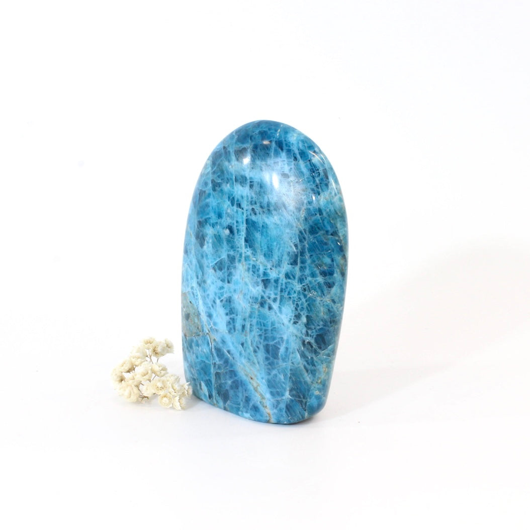 Blue apatite polished crystal free form | ASH&STONE Crystals Shop Auckland NZ