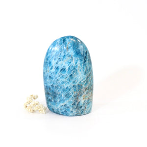 Blue apatite polished crystal free form | ASH&STONE Crystals Shop Auckland NZ