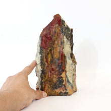 Load image into Gallery viewer, Large red jasper raw crystal chunk 3.05kg | ASH&amp;STONE Crystals Shop Auckland NZ
