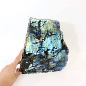 Extra large labradorite crystal free form 8.8kg | ASH&STONE Crystals Shop Auckland NZ