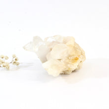 Load image into Gallery viewer, Clear quartz crystal cluster | ASH&amp;STONE Crystals Shop Auckland NZ
