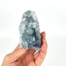 Load and play video in Gallery viewer, Crystals NZ: Celestite crystal cluster
