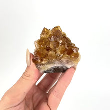 Load and play video in Gallery viewer, Crystals NZ: Citrine crystal cluster
