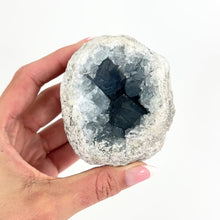 Load and play video in Gallery viewer, Crystals NZ: Celestite crystal geode
