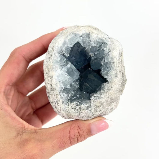 Crystals NZ: Celestite crystal geode