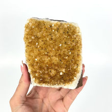 Load and play video in Gallery viewer, Crystals NZ: Citrine crystal cluster with cut base
