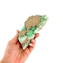 Load and play video in Gallery viewer, Crystals NZ: Green aragonite crystal cluster
