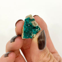Load image into Gallery viewer, Dioptase crystal specimen - very rare
