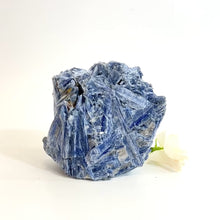 Load and play video in Gallery viewer, Large kyanite crystal with cut base | ASH&amp;STONE Crystals Shop Auckland NZ
