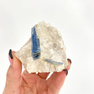 Crystal Lamps NZ: Kyanite in quartz crystal lamp on wooden LED base