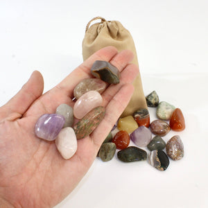 Crystal surprise | tumblestones & gift bag | ASH&STONE Crystals Shop Auckland NZ