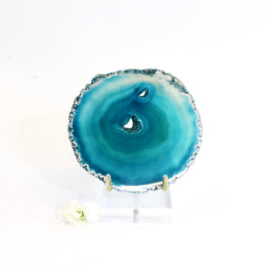 Agate crystal slice on stand | ASH&STONE Crystals Shop Auckland NZ