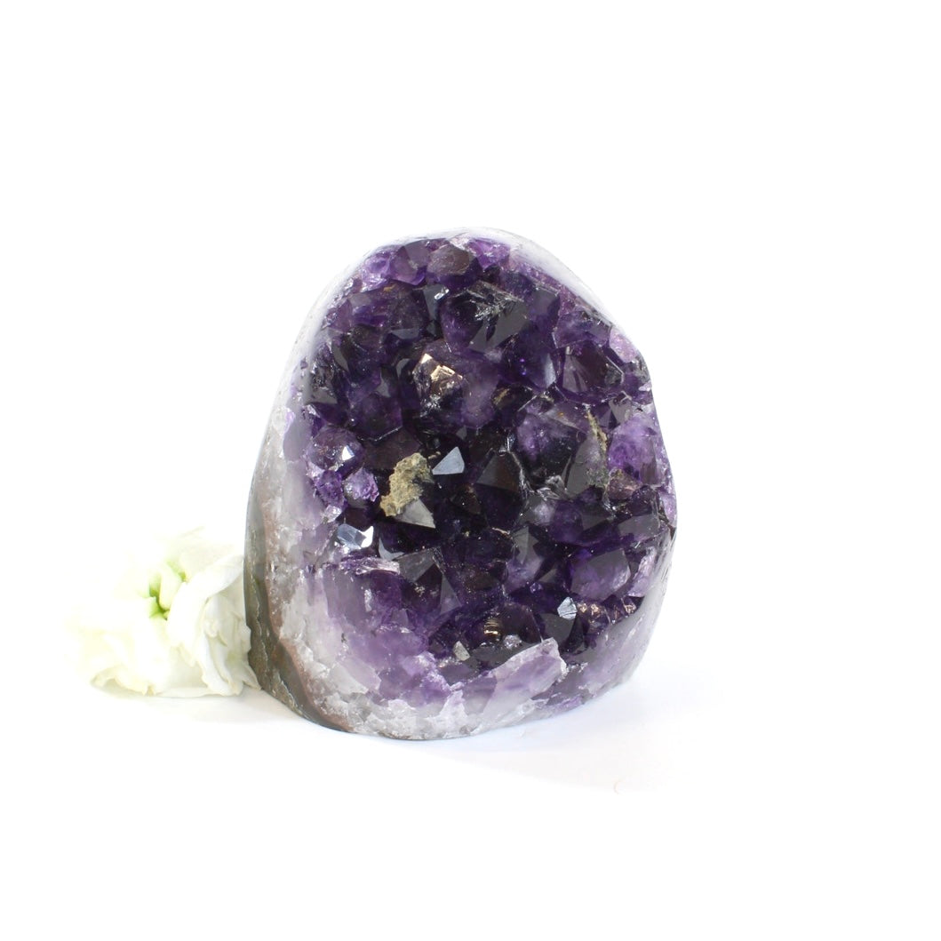 Polished amethyst crystal cluster with cut base | ASH&STONE Crystals Shop Auckland NZ