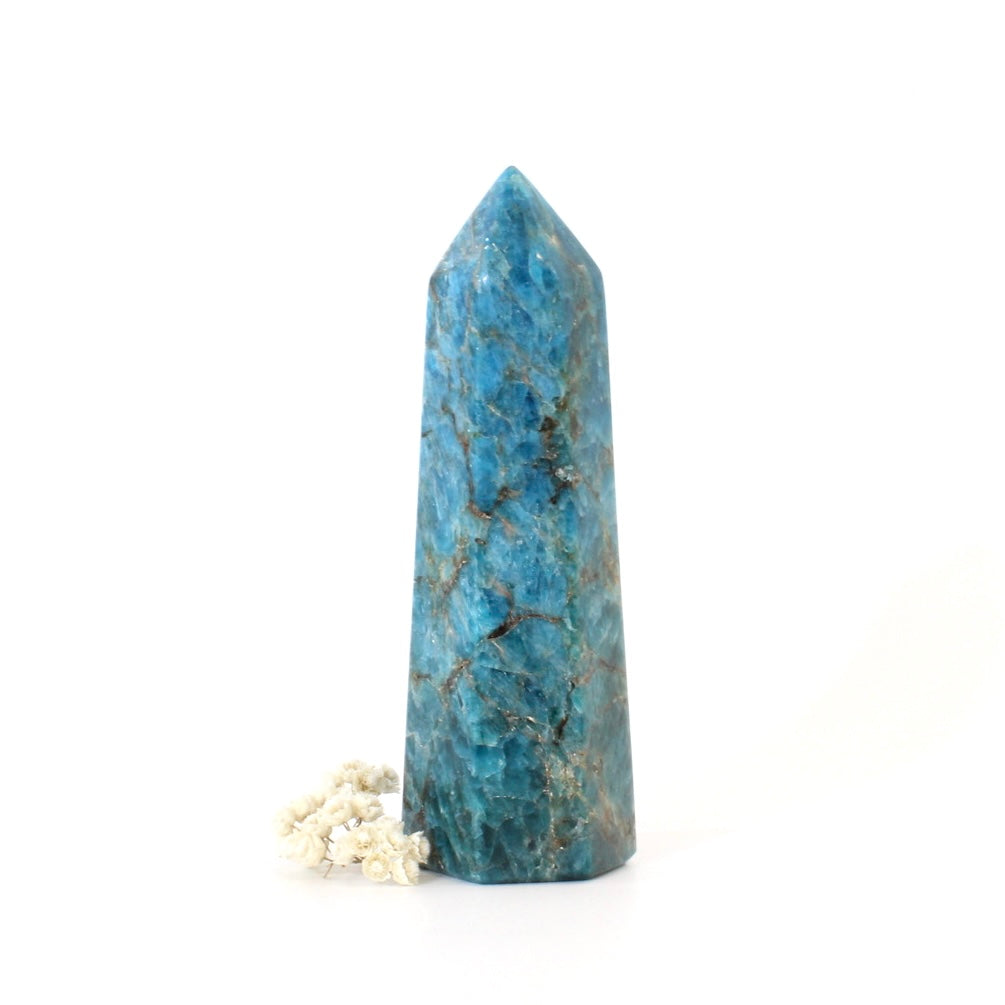 Blue apatite polished crystal tower | ASH&STONE Crystals Shop Auckland NZ