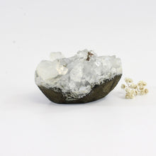 Load image into Gallery viewer, Apophyllite crystal cluster | ASH&amp;STONE Crystals Shop Auckland NZ
