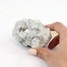 Load image into Gallery viewer, Apophyllite crystal cluster | ASH&amp;STONE Crystals Shop Auckland NZ
