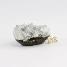 Load image into Gallery viewer, Apophyllite crystal cluster | ASH&amp;STONE Crystals Shop Auckland NZ
