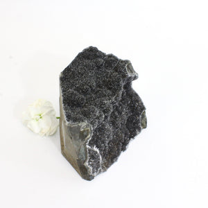 Black amethyst crystal with cut base | ASH&STONE Crystals Shop 