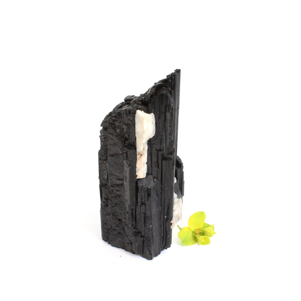Black tourmaline crystal tower | ASH&STONE Crystals  Shop Auckland NZ