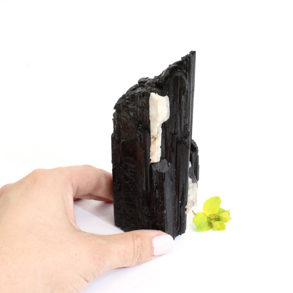 Black tourmaline crystal tower | ASH&STONE Crystals  Shop Auckland NZ
