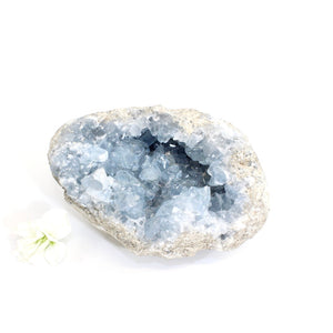 Celestite crystal cluster 996gm | ASH&STONE Crystals Shop Auckland NZ