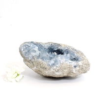 Load image into Gallery viewer, Celestite crystal cluster 996gm | ASH&amp;STONE Crystals Shop Auckland NZ

