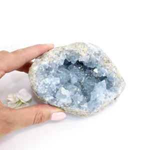 Celestite crystal cluster 996gm | ASH&STONE Crystals Shop Auckland NZ