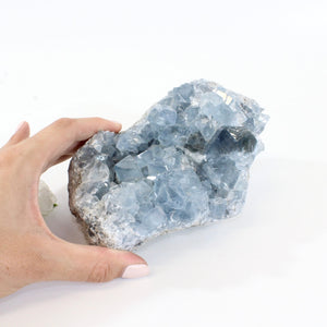 Large celestite crystal cluster 2kg | ASH&STONE Crystals Shop Auckland NZ