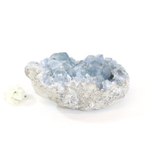 Load image into Gallery viewer, Large celestite crystal cluster 2kg | ASH&amp;STONE Crystals Shop Auckland NZ
