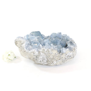 Large celestite crystal cluster 2kg | ASH&STONE Crystals Shop Auckland NZ