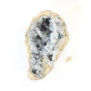 Large celestite crystal geode - 4.01kg | ASH&STONE Crystals Shop Auckland NZ