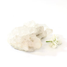 Load image into Gallery viewer, Clear quartz crystal cluster | ASH&amp;STONE Crystals Shop Auckland NZ
