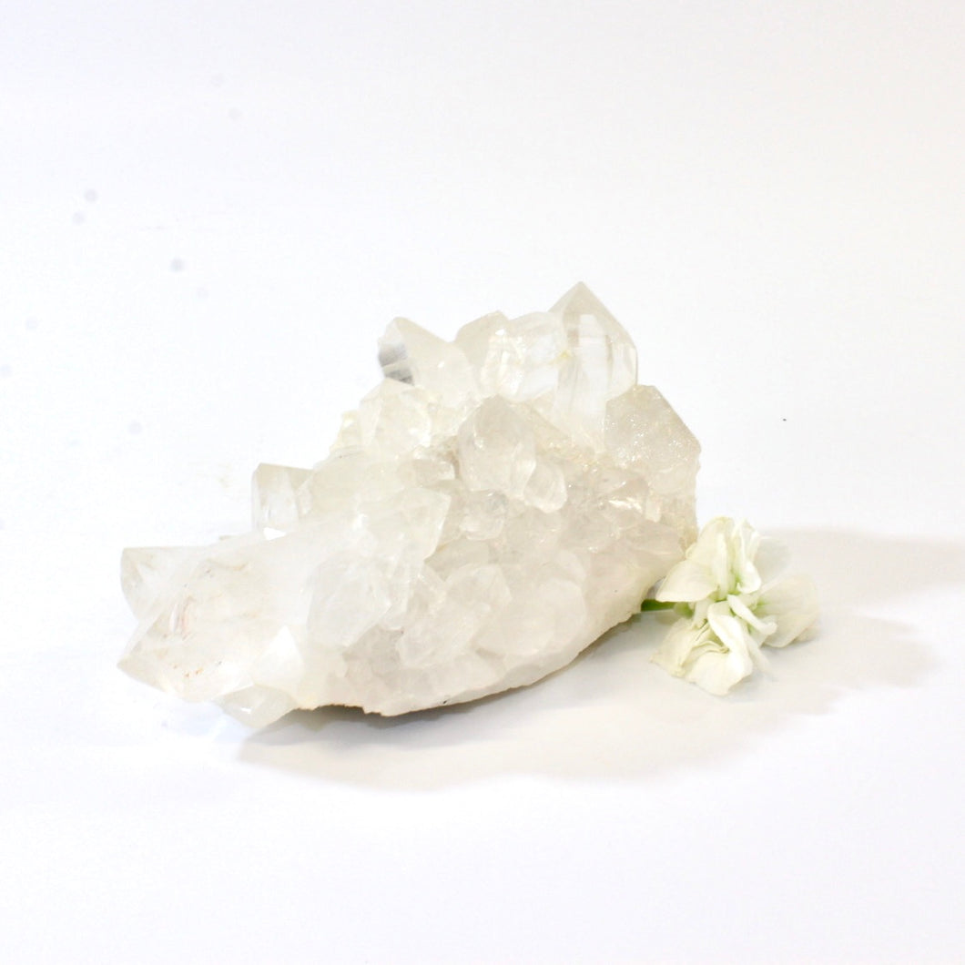 Clear quartz crystal cluster | ASH&STONE Crystals Shop Auckland NZ