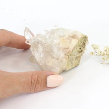 Load image into Gallery viewer, Clear quartz crystal cluster | ASH&amp;STONE Crystals Shop Auckland NZ
