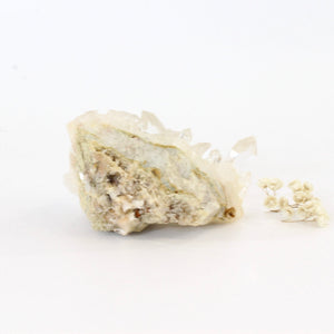 Clear quartz crystal cluster | ASH&STONE Crystals Shop Auckland NZ