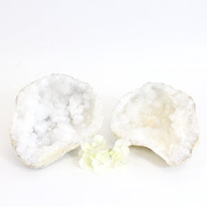 Clear quartz crystal geode pair | ASH&STONE Crystals Shop Auckland NZ