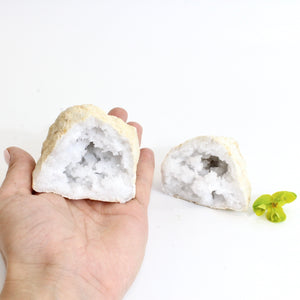 Clear quartz crystal geode pair | ASH&STONE Crystals Shop Auckland NZ